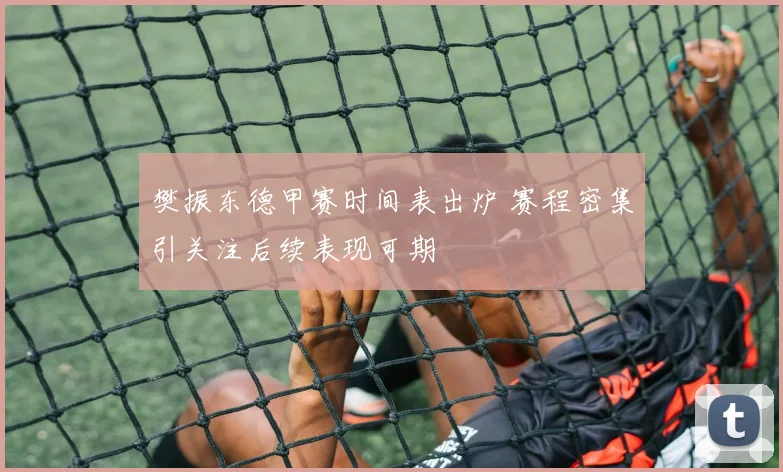 樊振东德甲赛时间表出炉 赛程密集引关注后续表现可期