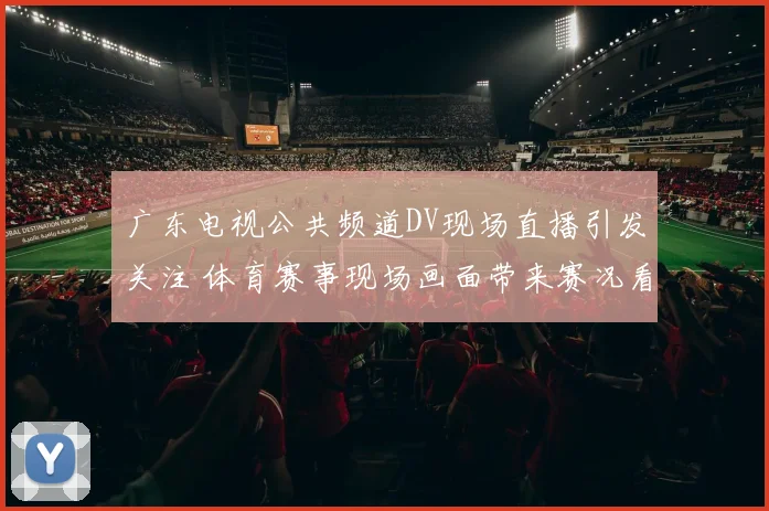 广东电视公共频道DV现场直播引发关注 体育赛事现场画面带来赛况看点