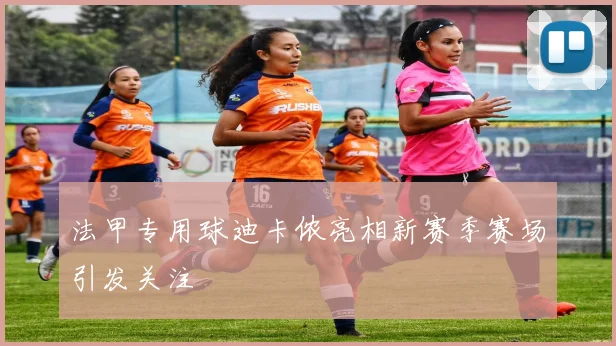 法甲专用球迪卡侬亮相新赛季赛场引发关注