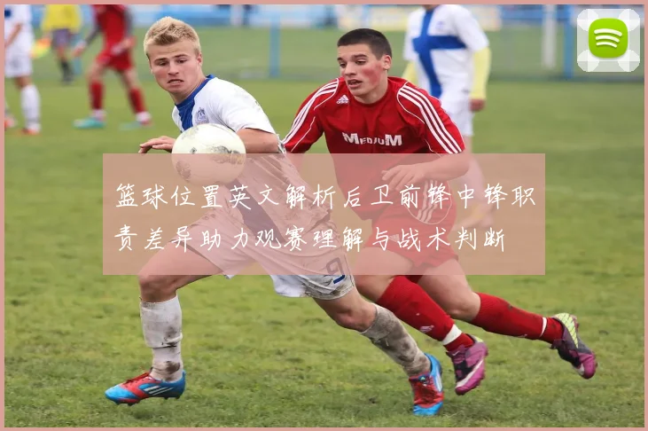 篮球位置英文解析后卫前锋中锋职责差异助力观赛理解与战术判断