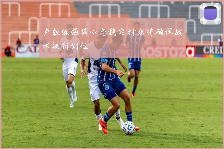 卢教练强调心态稳定科尔将确保战术执行到位