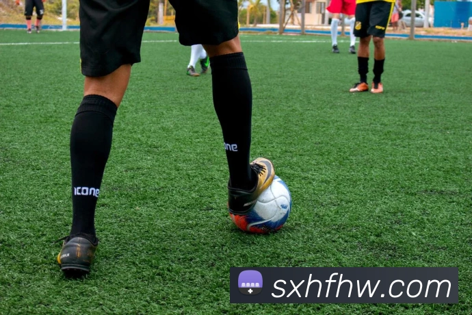 九游j9游戏网站平台生态图